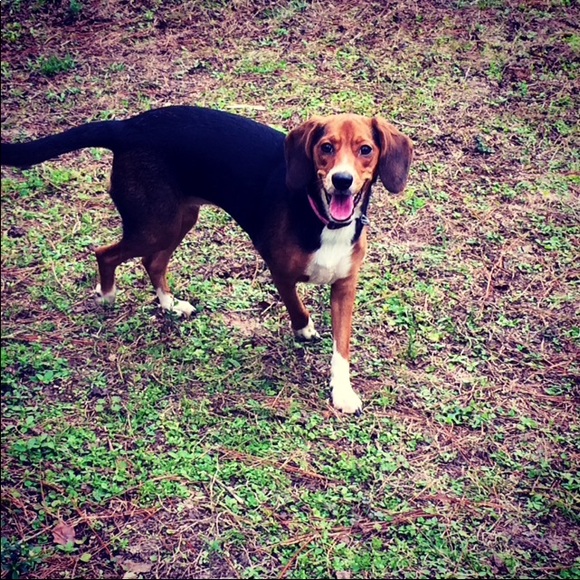 Meet your Posher, Caroline - Picture 5 of 6